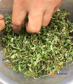 初春蘄艾綠滿園，水鄉巧手做青團
